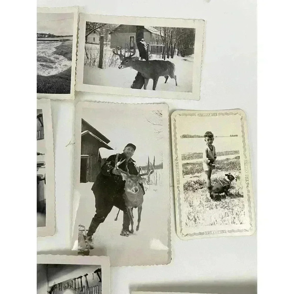 VTG 27 B&W Photographs Travel Animals Wildlife Grave Cars Farming 40's Ephemera - Picture 6 of 16